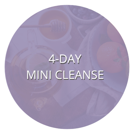 thriving website programs 4-day mini cleanse graphic 300x300 (4)